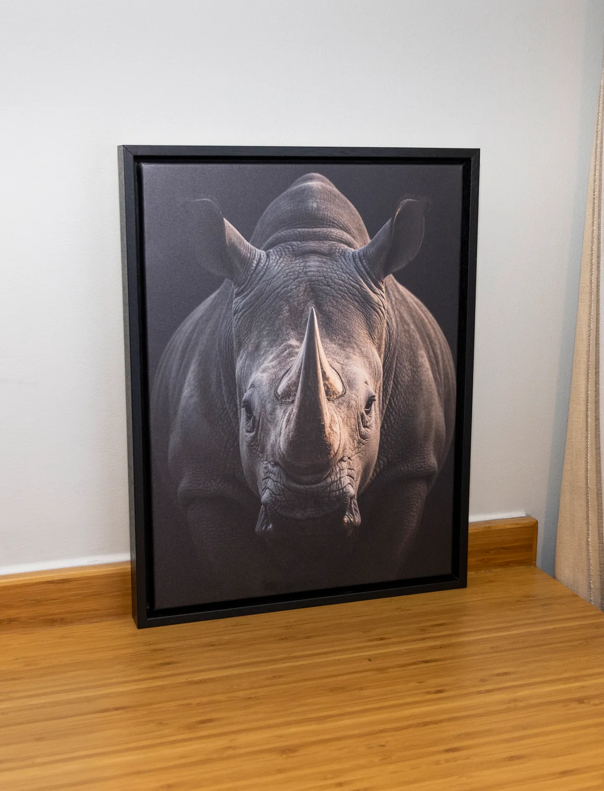 African Rhino Framed Canvas